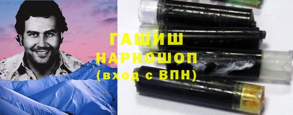 гидра Алексеевка