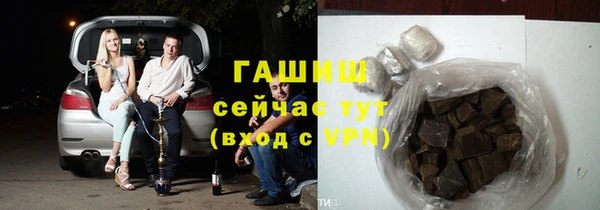 гидра Алексеевка
