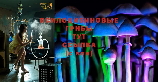гидра Алексеевка