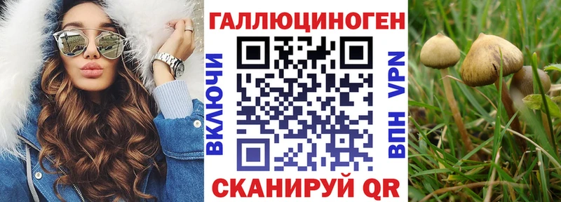что такое наркотик Славск Псилоцибиновые грибы Psilocybine cubensis